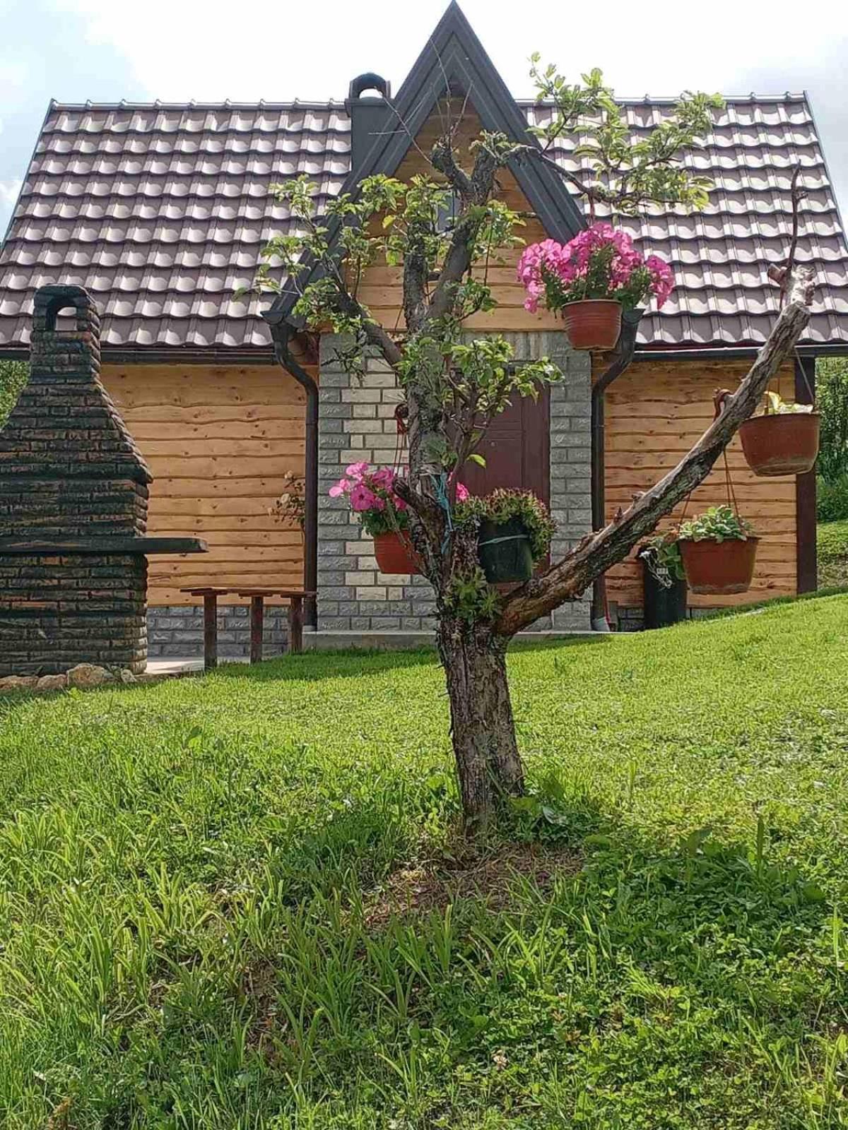 Planinska Kuca Rabas *