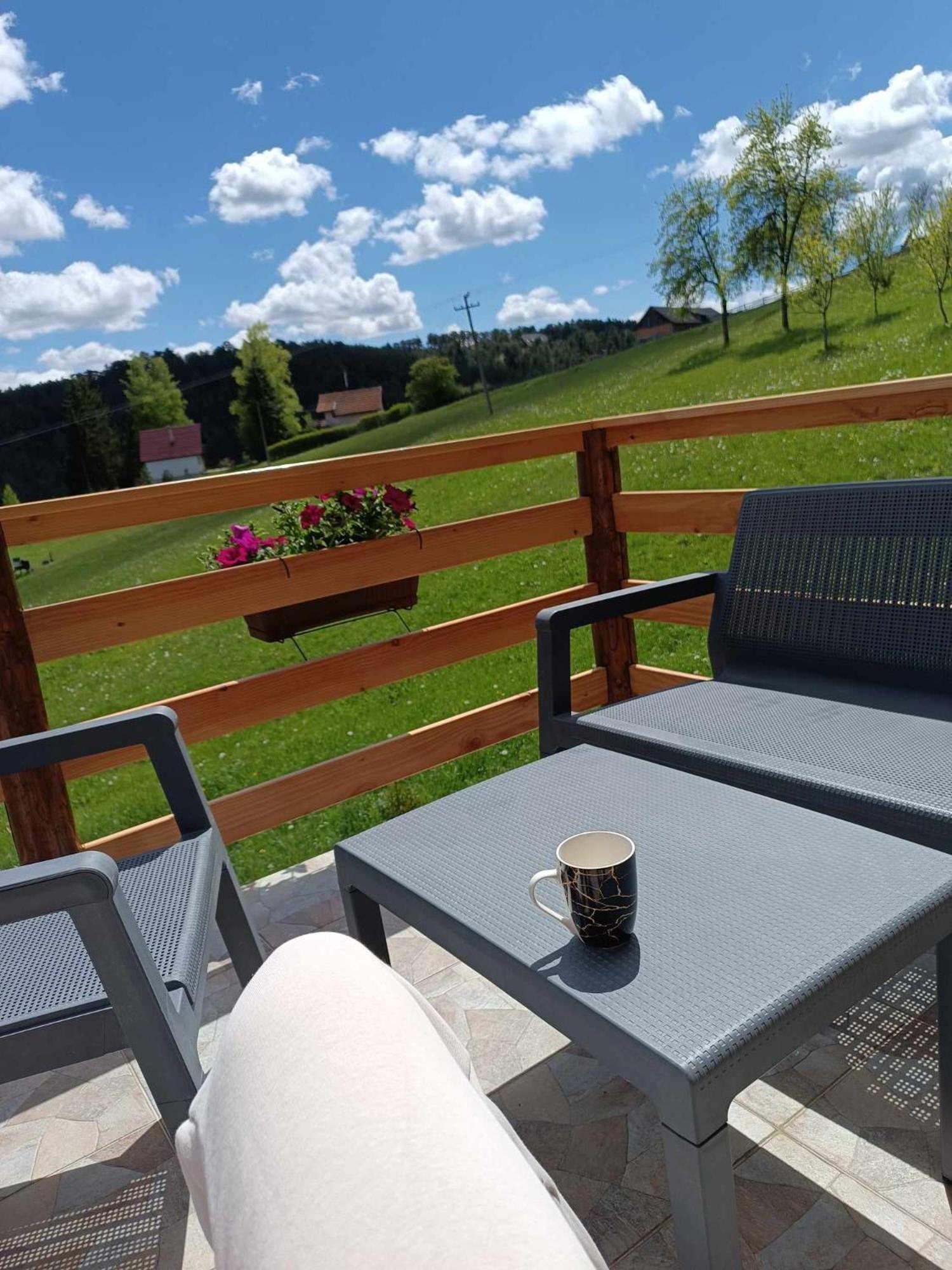 Holiday home Planinska Kuca Rabas Bajina Basta